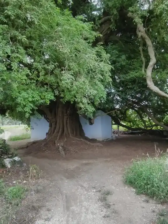 Arulmigu Annamar Temple, Chandrapuram - 641669 அருள்மிகு அண்ணமார் திருக்கோயில், சந்திராபுரம் - 641669, Coimbatore - Ancient Temple Architecture and History Image 3