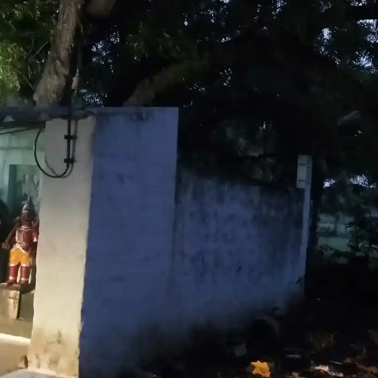 Arulmigu Annamar Temple, Kolathupalayam - 638053 Temple