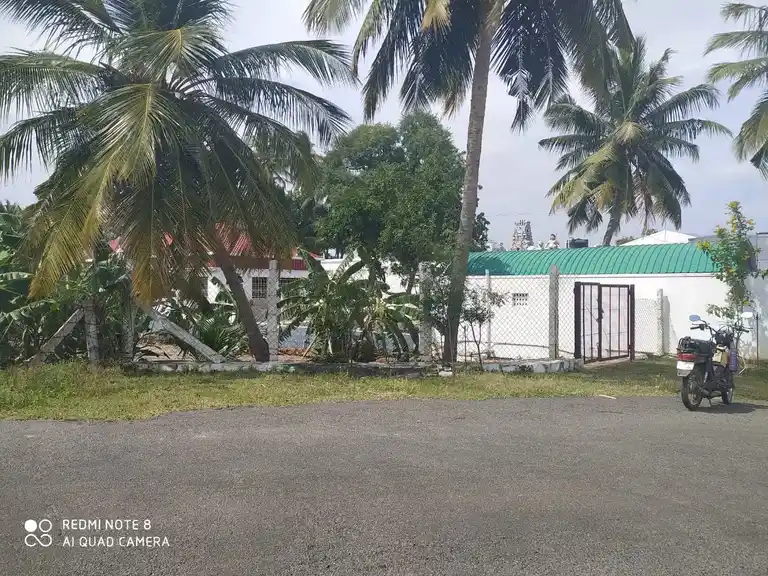 Arulmigu Annamar Temple, Singalandapuram - 637412