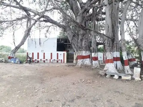 Arulmigu Annamar Temple, Ugayanur - 641605 அருள்மிகு அண்ணமார் திருக்கோயில், Ugayanur - 641605, Tiruppur - Ancient Temple Architecture and History Image 4