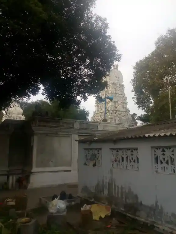 Arulmigu Annamar Viswanathar Temple, Udayampalayam, Sowripalayam - 641028 அருள்மிகு அன்னமார் விஷ்வநாதர் திருக்கோயில், Udayampalayam, Sowripalayam - 641028, Coimbatore - Ancient Temple Architecture and History Image 3