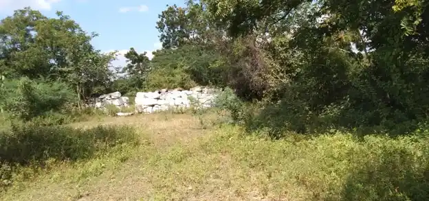 Arulmigu Annamarappan Temple, Kattanachampatty - 637408