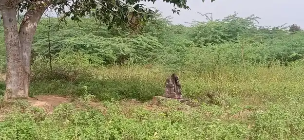 Arulmigu Annammaar Temple, Thennampaadi - 621316