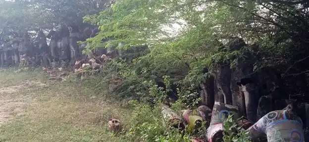 Arulmigu Annammaar Temple, Thennampaadi - 621316 அருள்மிகு அன்னம்மார் திருக்கோயில், தென்னம்பாடி - 621316, Pudukkottai - Ancient Temple Architecture and History Image 4