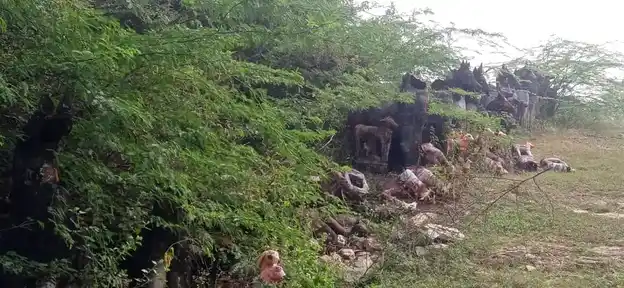 Arulmigu Annammaar Temple, Thennampaadi - 621316 அருள்மிகு அன்னம்மார் திருக்கோயில், தென்னம்பாடி - 621316, Pudukkottai - Ancient Temple Architecture and History Image 5