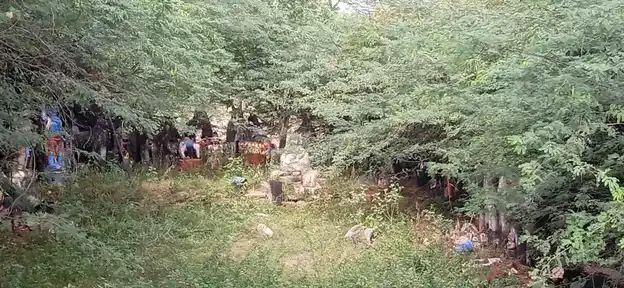 Arulmigu Annammaar Temple, Thennampaadi - 621316 அருள்மிகு அன்னம்மார் திருக்கோயில், தென்னம்பாடி - 621316, Pudukkottai - Ancient Temple Architecture and History Image 7