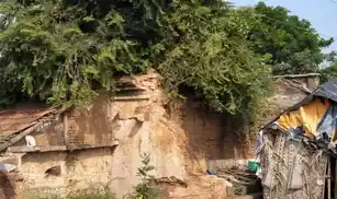 Arulmigu Annathana Chathiram, Aadhanakkottai - 622203 அருள்மிகு அன்னச்சத்திரம், ஆதனக்கோட்டை, புதுக்கோட்டை வட்டம் மற்றும் மாவட்டம். சத்திரம், Aadhanakkottai - 622203, Pudukkottai - Ancient Temple Architecture and History Image 6