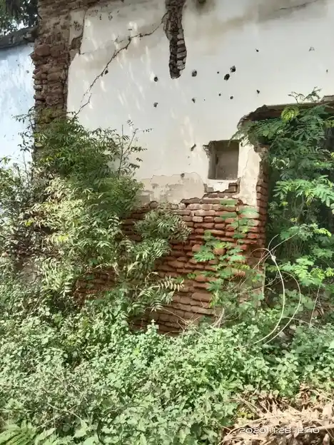 Arulmigu Annumar Temple, Sarkar Vengarai - 637208 Arulmigu Annumar Temple, Sarkar Vengarai - 637208, Namakkal - Ancient Temple Architecture and History Image 2