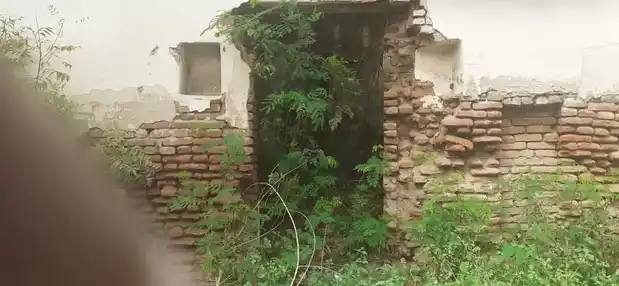 Arulmigu Annumar Temple, Sarkar Vengarai - 637208 Arulmigu Annumar Temple, Sarkar Vengarai - 637208, Namakkal - Ancient Temple Architecture and History Image 7