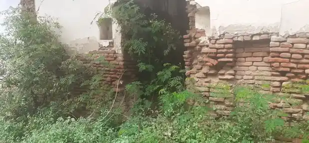 Arulmigu Annumar Temple, Sarkar Vengarai - 637208 Arulmigu Annumar Temple, Sarkar Vengarai - 637208, Namakkal - Ancient Temple Architecture and History Image 8