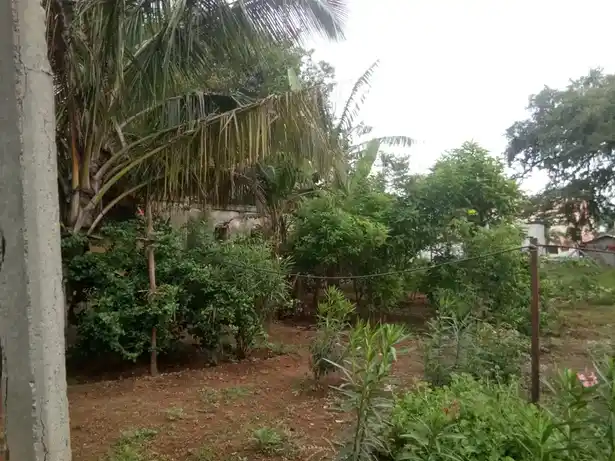 Arulmigu Annyuramman Temple, Madhampatti, Madhampatty - 641010 அருள்மிகு அன்னியூரம்மன் திருக்கோயில், மாதம்பட்டி, Madhampatty - 641010, Coimbatore - Ancient Temple Architecture and History Image 2