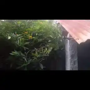 Arulmigu Anuguruswamy Temple, Kamatchipuram - 621001 Arulmigu anuguruswamy Temple, Kamatchipuram - 621001, Thiruchirappalli - Ancient Temple Architecture and History Image 4