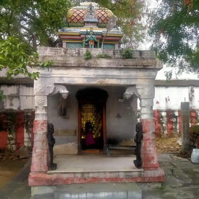 Arulmigu Anumadhaperumal Temple, Ayakudi - 624613