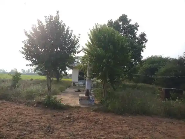 Arulmigu Anumantha Perumal Temple, Kummampatti - 624301 அருள்மிகு அனுமந்தபெருமாள் கோயில், Kummampatti - 624301, Dindigul - Ancient Temple Architecture and History Image 3