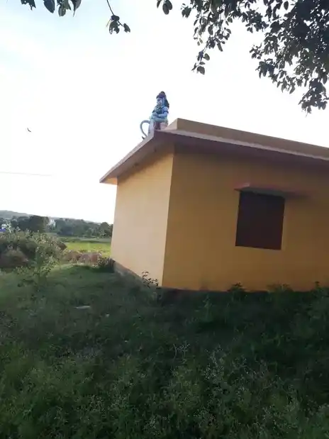 Arulmigu Anumantharaya Swamy Temple, Bevunatham - 635118 அருள்மிகு அனுமந்தராயசாமி திருக்கோயில், Bevunatham - 635118, Krishnagiri - Ancient Temple Architecture and History Image 4