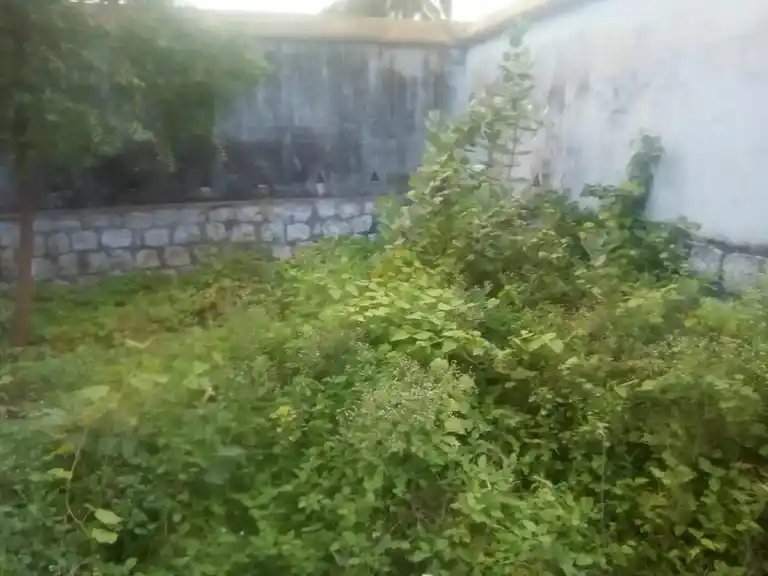 Arulmigu Anumantharayaperumal Temple, Markeyankottai - 625515 அருள்மிகு அனுமந்தராயப்பெருமாள் திருக்கோயில், மார்க்கையன் கோட்டை - 625515, Theni - Ancient Temple Architecture and History Image 6