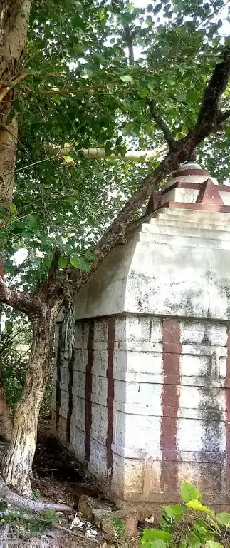 Arulmigu Anumantharayaswamy Temple, Ladduvadi - 637002 அருள்மிகு அனுமந்தராயசாமி திருக்கோயில், Ladduvadi - 637002, Namakkal - Ancient Temple Architecture and History Image 3