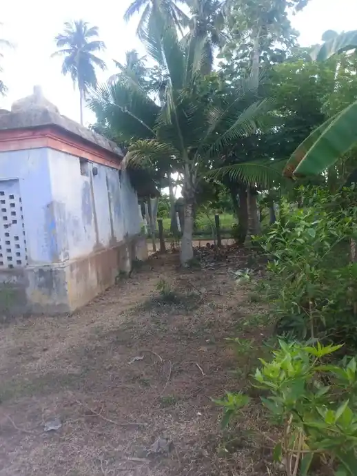Arulmigu Anumar Temple, Rajagopalapuram - 614020 அனுமன் திருக்கோயில், Rajagopalapuram - 614020, Thiruvarur - Ancient Temple Architecture and History Image 2