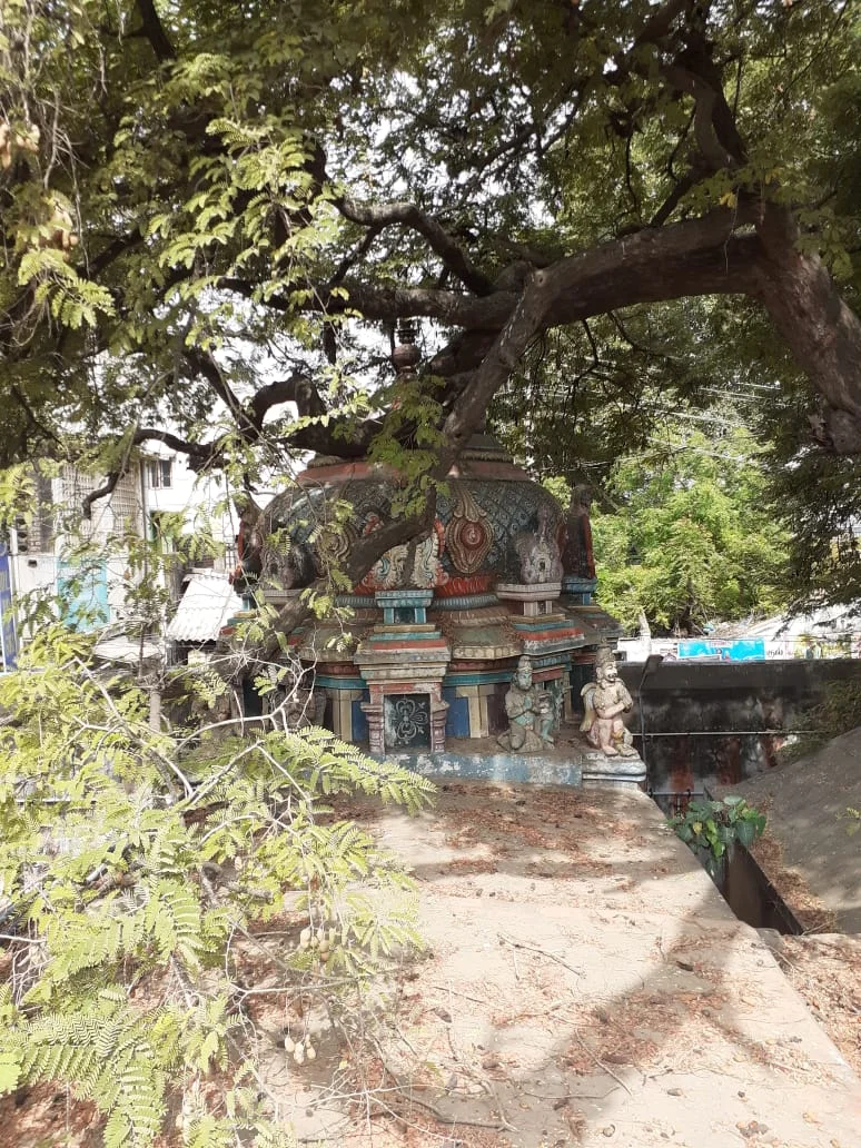 அருள்மிகு அனுமார் கோதண்டராமசாமி திருக்கோயில், Paramakudi - 623707 - Main View