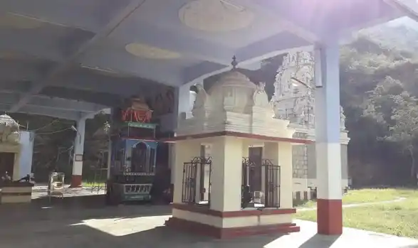Arulmigu Anuvavi Subramanyasamy Temple, Periyathadagam, Coimbatore - 641108 அருள்மிகு அனுவாவி சுப்பிரமணியசுவாமி திருக்கோயில், Periyathadagam, Coimbatore - 641108, Coimbatore - Ancient Temple Architecture and History Image 6