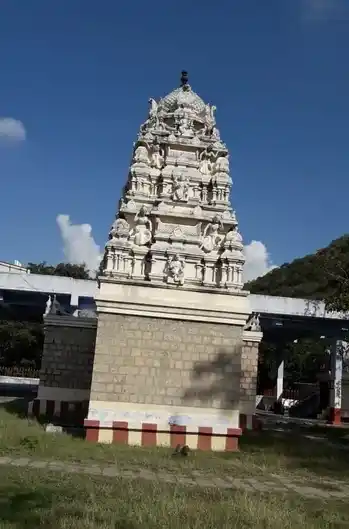 Arulmigu Anuvavi Subramanyasamy Temple, Periyathadagam, Coimbatore - 641108 அருள்மிகு அனுவாவி சுப்பிரமணியசுவாமி திருக்கோயில், Periyathadagam, Coimbatore - 641108, Coimbatore - Ancient Temple Architecture and History Image 7