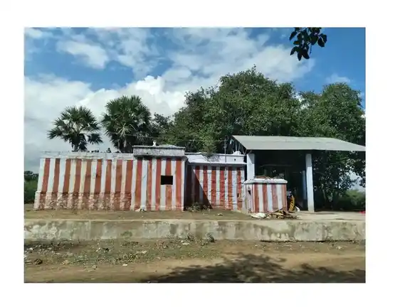 Arulmigu Apayangaraselliamman Temple, Vasavappapuram - 628252 அருள்மிகு அபயங்கரசெல்லியம்மன் திருக்கோயில், Vasavappapuram - 628252, Thoothukudi - Ancient Temple Architecture and History Image 2