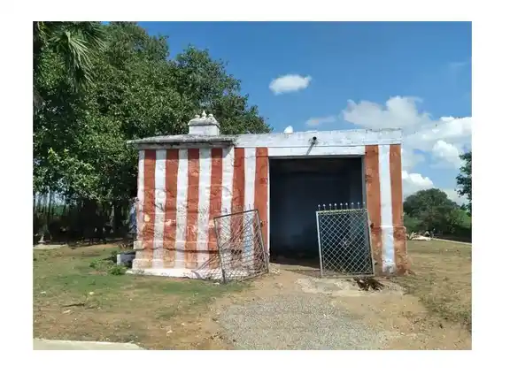 Arulmigu Apayangaraselliamman Temple, Vasavappapuram - 628252 அருள்மிகு அபயங்கரசெல்லியம்மன் திருக்கோயில், Vasavappapuram - 628252, Thoothukudi - Ancient Temple Architecture and History Image 3