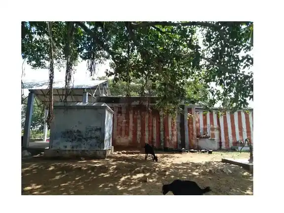 Arulmigu Apayangaraselliamman Temple, Vasavappapuram - 628252 அருள்மிகு அபயங்கரசெல்லியம்மன் திருக்கோயில், Vasavappapuram - 628252, Thoothukudi - Ancient Temple Architecture and History Image 4