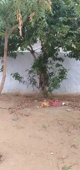 Arulmigu Appachimar Temple, Cholamadevi - 642113