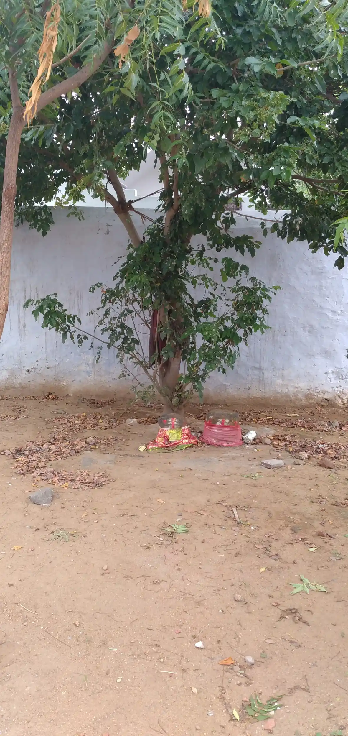 Arulmigu Appachimar Temple, Cholamadevi - 642113 அருள்மிகு அப்பச்சிமார் திருக்கோயில், Cholamadevi - 642113, Tiruppur - Ancient Temple Architecture and History Image 3