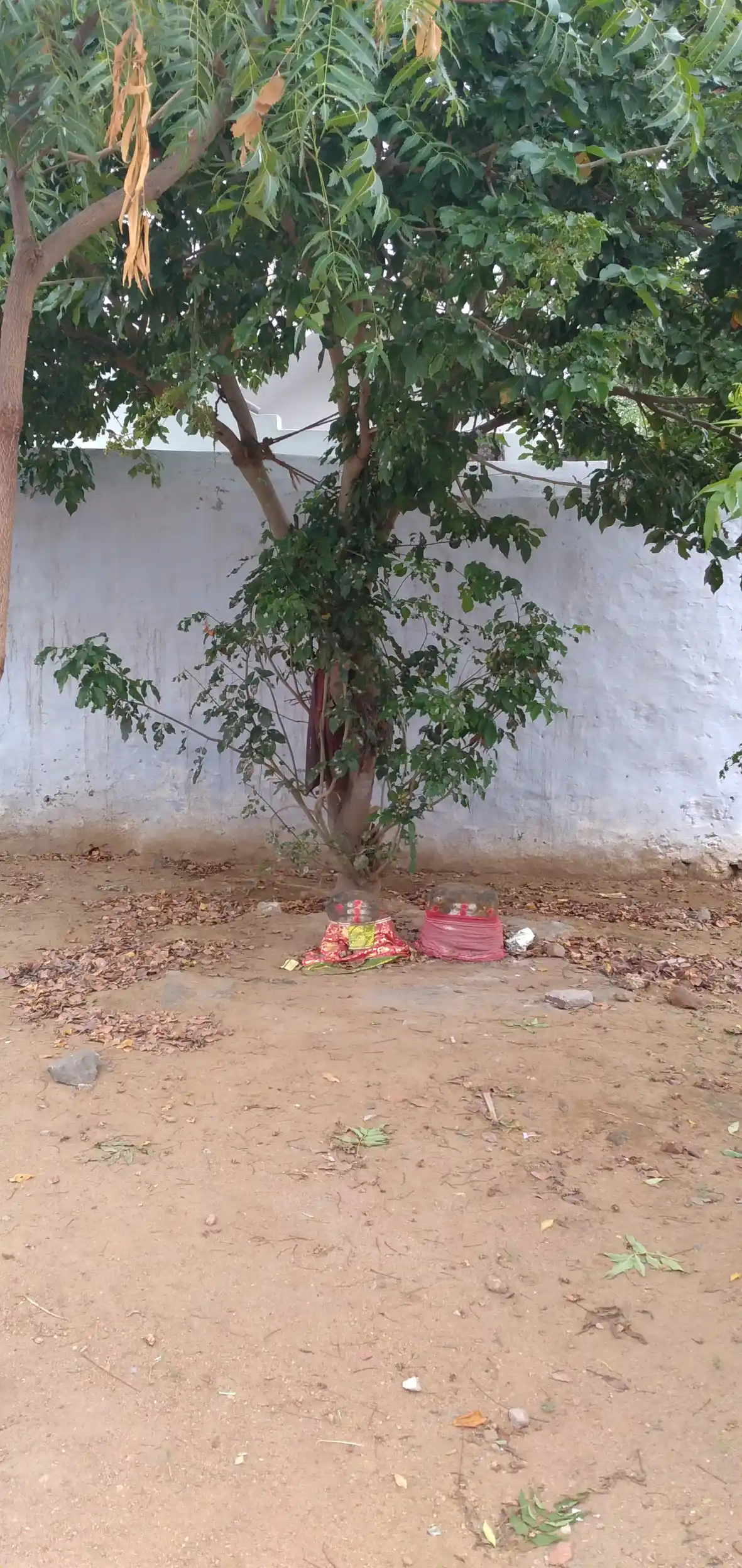 Arulmigu Appachimar Temple, Cholamadevi - 642113 அருள்மிகு அப்பச்சிமார் திருக்கோயில், Cholamadevi - 642113, Tiruppur - Ancient Temple Architecture and History Image 4