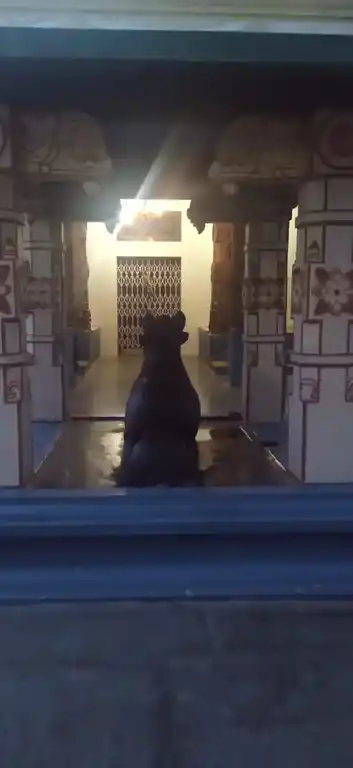 Arulmigu Apparameswara Temple, Maravapalayam, Sangaramdamplayam - 638706 அருள்மிகு அப்பரமேஸ்வரசாமி திருக்கோயில், மரவ பாளையம், Sangarandamplayam - 638706, Tiruppur - Ancient Temple Architecture and History Image 4