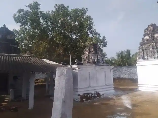 Arulmigu Appuchiamman Naachimar Temple, Thidumal Goundampalayam - 637204