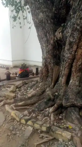 Arulmigu Aradi Vinayagar Temple, Police Station Near, Tharamangalam - 636502 அருள்மிகு &nbsp;ஆறடி &nbsp;விநாயகர் &nbsp;திருக்கோவில், காவல் நிலையம் அருகில், Tharamangalam - 636502, Salem - Ancient Temple Architecture and History Image 4