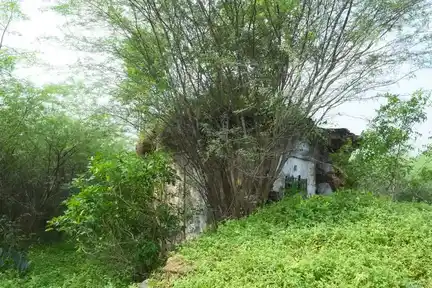 Arulmigu Araimudi Ayyanar Temple, Aathukudi - 609117 அருள்மிகு அரைமுடி அய்யனார் திருக்கோயில், ஆத்துக்குடி - 609117, Mayiladuthurai - Ancient Temple Architecture and History Image 4