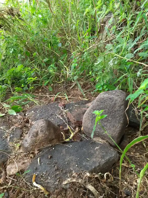 Arulmigu Aranganathar Temple, Vairisettippalayam - 621012 Temple