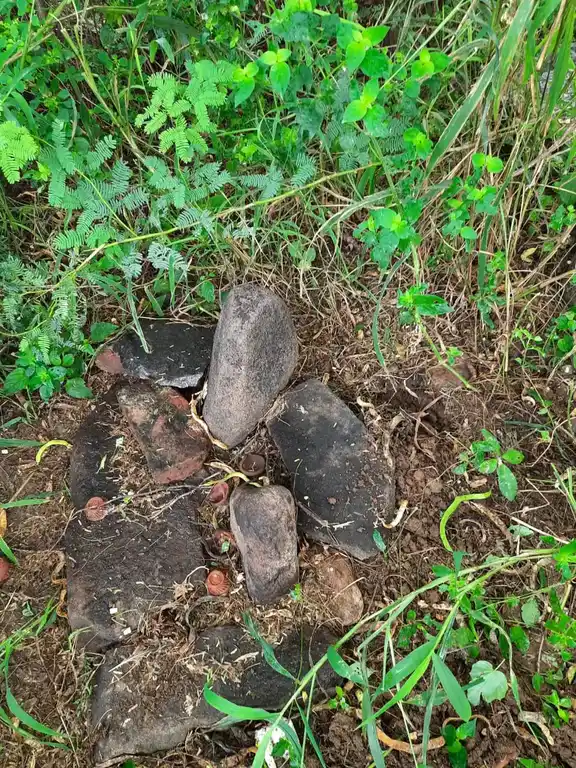 Arulmigu Aranganathar Temple, Vairisettippalayam - 621012 Arulmigu Aranganathar Temple, Vairisettippalayam - 621012, Thiruchirappalli - Ancient Temple Architecture and History Image 2