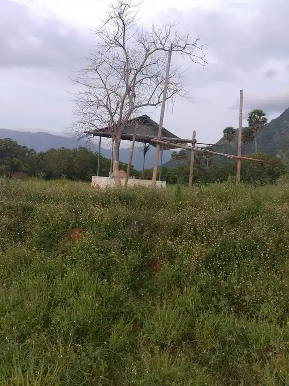 Arulmigu Arangasivan Temple, Pudu Kombai - 637404 அருள்மிகு அரங்கசிவன் திருக்கோயில், Pudu Kombai - 637404, Namakkal - Ancient Temple Architecture and History Image 4