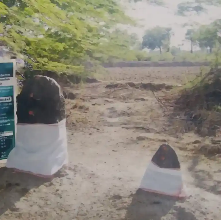 Arulmigu Arasa Makkal Puththar Temple, Melarumpoor - 623407