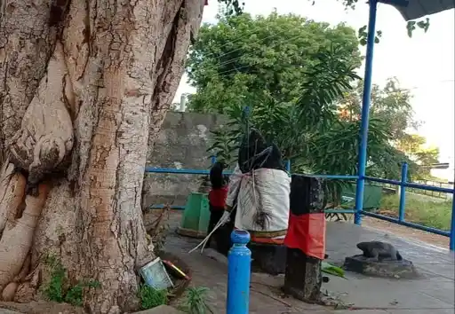 Arulmigu Arasa Vinayagar Temple, Neduvayal - 630410
