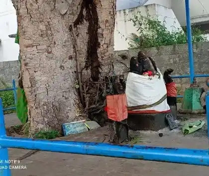 Arulmigu Arasa Vinayagar Temple, Neduvayal - 630410 அருள்மிகு. அரச விநாயகர் திருக்கோயில், Neduvayal - 630410, Sivagangai - Ancient Temple Architecture and History Image 4