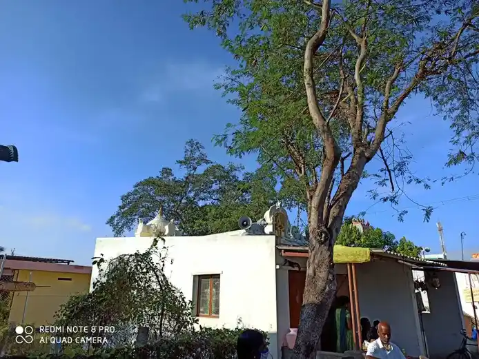 Arulmigu Arasadi Vinayagar Temple, Idigarai - 641022 அருள்மிகு அரசரடி விநாயகர் திருக்கோயில், இடிகரை - 641022, Coimbatore - Ancient Temple Architecture and History Image 3