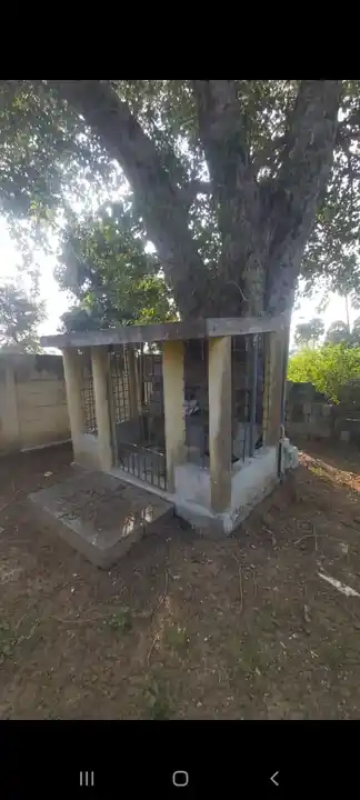 Arulmigu Arasadi Vinayagar Temple, Nariyampakkam - 601301 அருள்மிகு அரசரடி பிள்ளையார் திருக்கோயில், Nariyampakkam - 601301, Kancheepuram - Ancient Temple Architecture and History Image 3