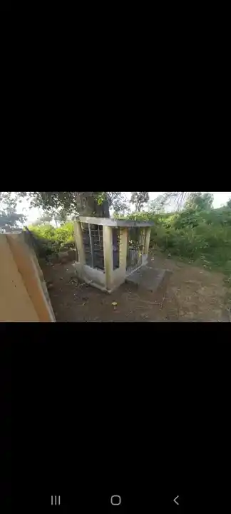 Arulmigu Arasadi Vinayagar Temple, Nariyampakkam - 601301 அருள்மிகு அரசரடி பிள்ளையார் திருக்கோயில், Nariyampakkam - 601301, Kancheepuram - Ancient Temple Architecture and History Image 4