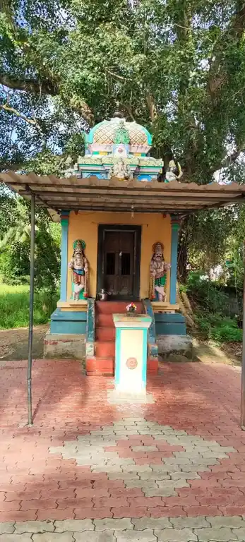Arulmigu Arasadi Vinayagar Temple, Near Community Hall, Antharapuram - 629851 அருள்மிகு அரசடிவிநாயகர் திருக்கோயில், Near Community Hall, Antharapuram - 629851, Kanyakumari - Ancient Temple Architecture and History Image 3