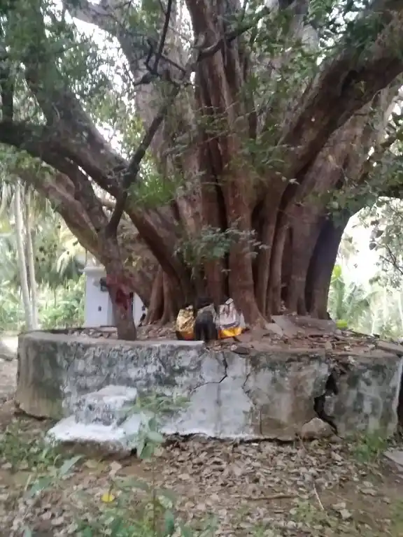 Arulmigu Arasadi Vinayagar Temple, Veerakeralamputhur - 627806