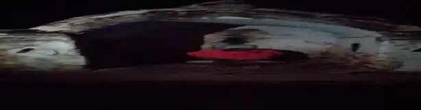 Arulmigu Arasagoundanpatti Vinayagar Temple, Arasagoundanpatty - 624620 அருள்மிகு அரசகவுண்டன்படி விநாயகர் திருக்கோயில், Arasagoundanpatty - 624620, Dindigul - Ancient Temple Architecture and History Image 4