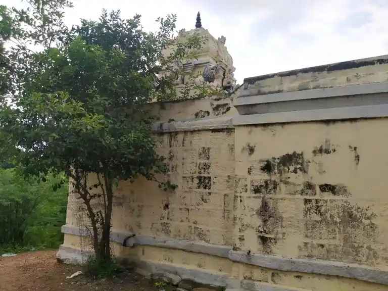 Arulmigu Arasaie Amman Temple, Veethi Vadangam - 620013 Temple