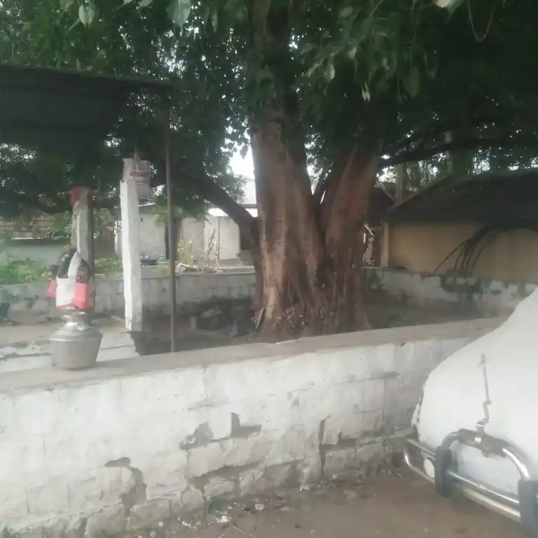 Arulmigu Arasamarathu Vinayagar, Thazhuthazhai - 621103