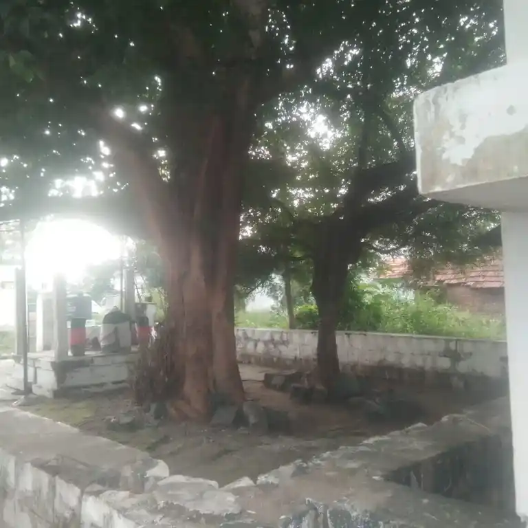 Arulmigu Arasamarathu Vinayagar, Thazhuthazhai - 621103 அருள்மிகு அரசமரத்து விநாயகர் திருக்கோயில், Thazhuthazhai - 621103, Perambalur - Ancient Temple Architecture and History Image 2